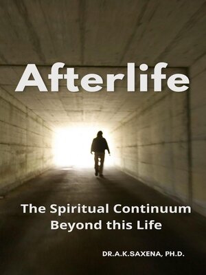 cover image of Afterlife